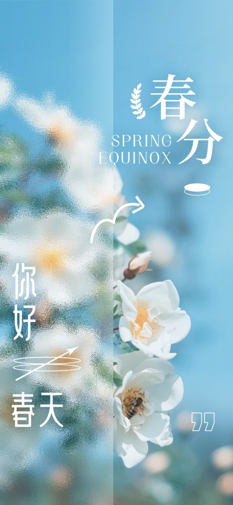 春分节气海报 (17)