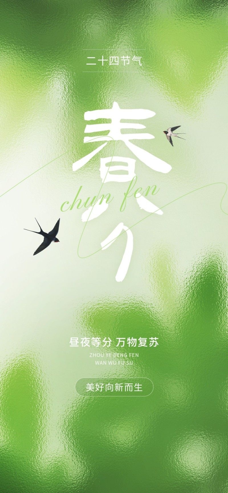 春分节气海报 (19)