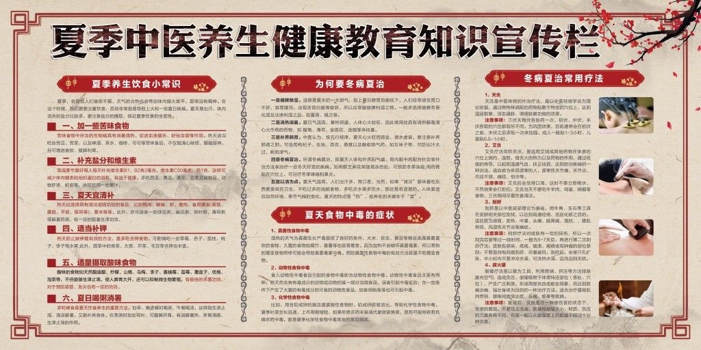 国风夏季中医养生健康教育知识宣传栏展板