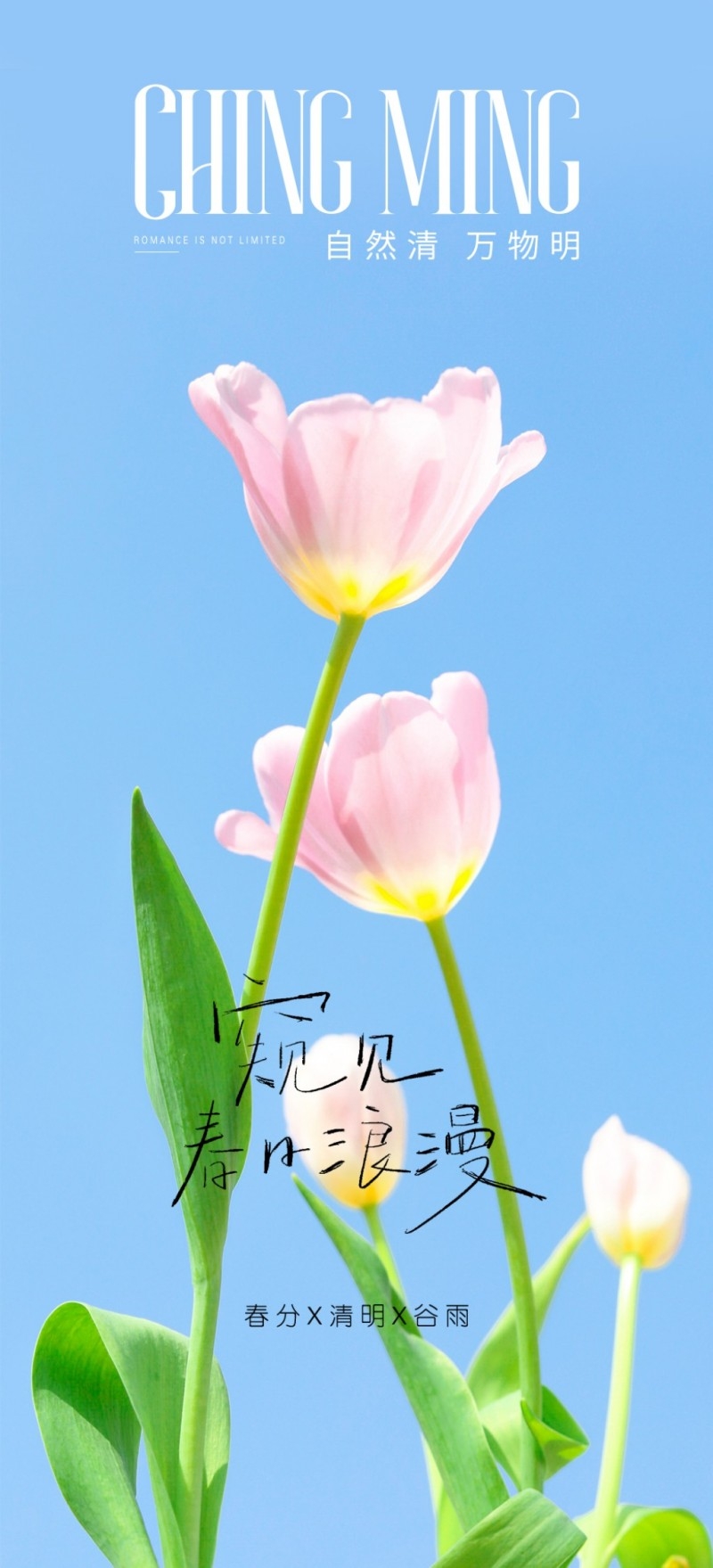 春分节气海报 (11)