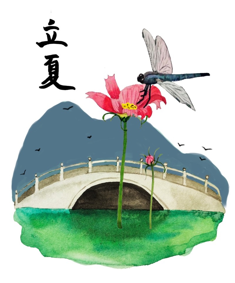 二十四节气立夏精品元素 (13)