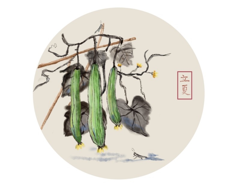 二十四节气立夏精品元素 (23)