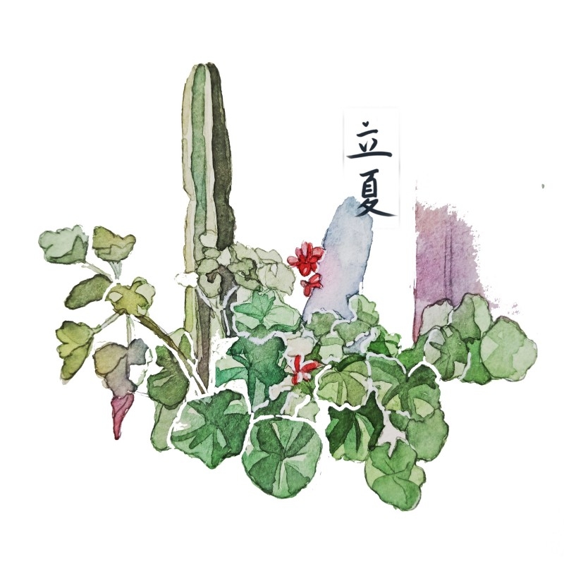 二十四节气立夏精品元素 (75)
