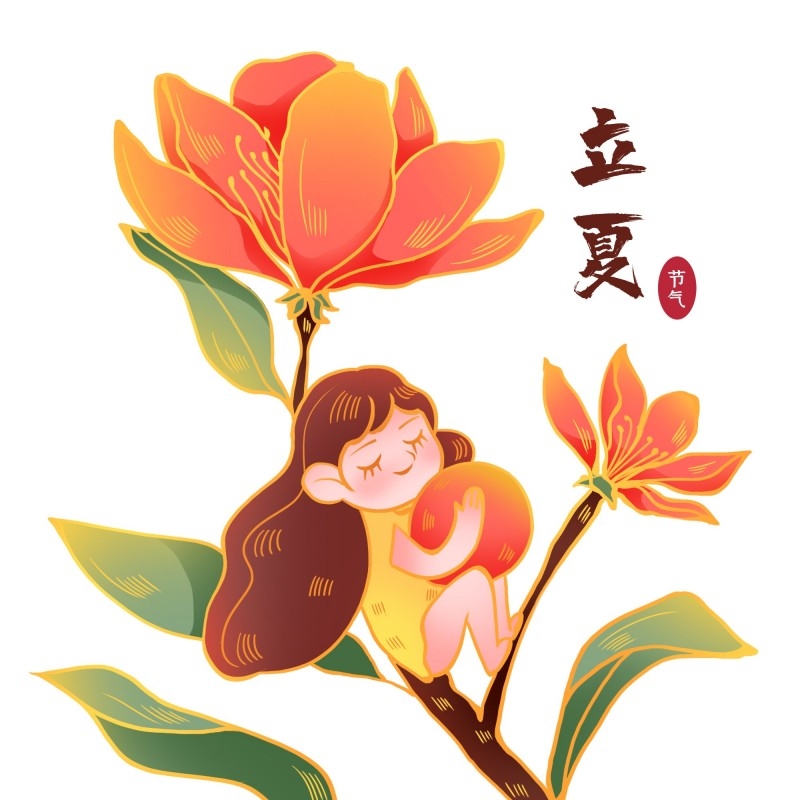 二十四节气立夏精品元素 (51)