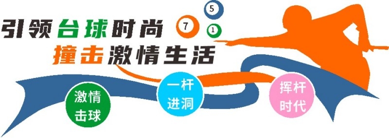 台球桌球室俱乐部文化墙 (8)