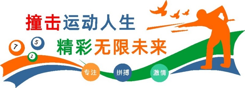 台球桌球室俱乐部文化墙 (3)