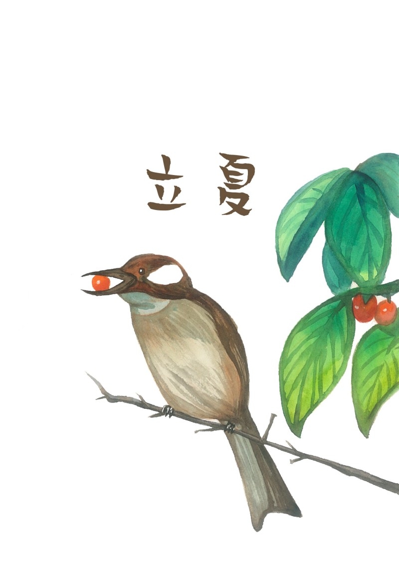 二十四节气立夏精品元素 (64)