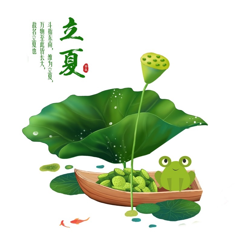 二十四节气立夏精品元素 (26)