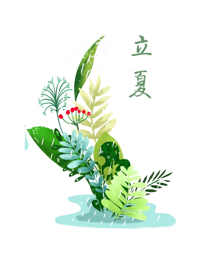 二十四节气立夏精品元素 (15)