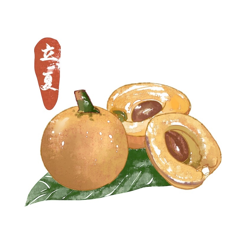 二十四节气立夏精品元素 (74)
