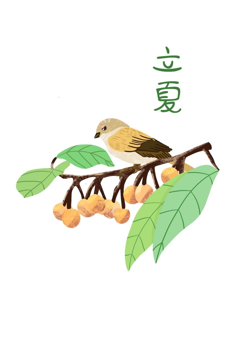 二十四节气立夏精品元素 (61)
