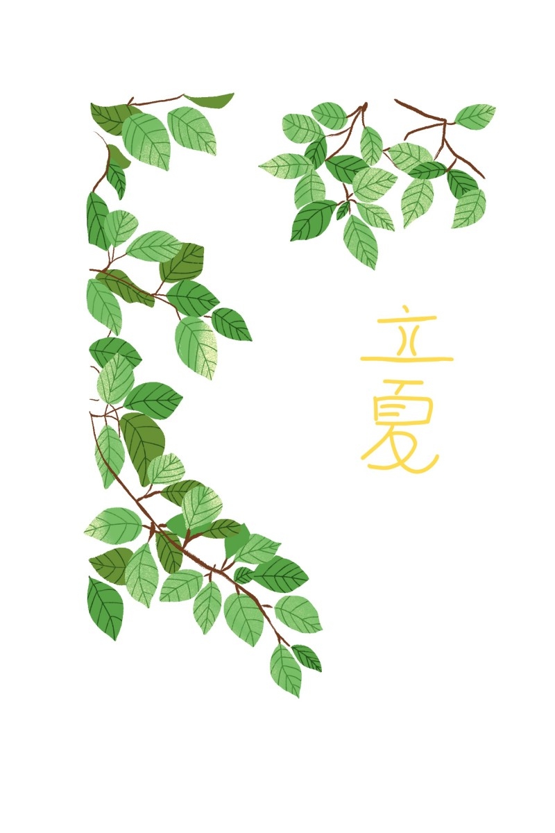 二十四节气立夏精品元素 (57)