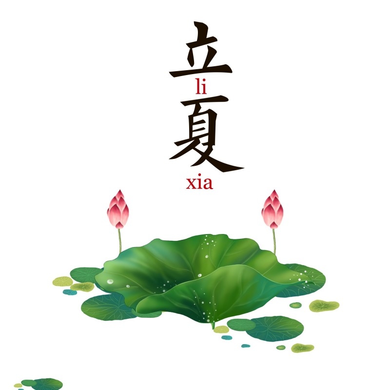 二十四节气立夏精品元素 (32)