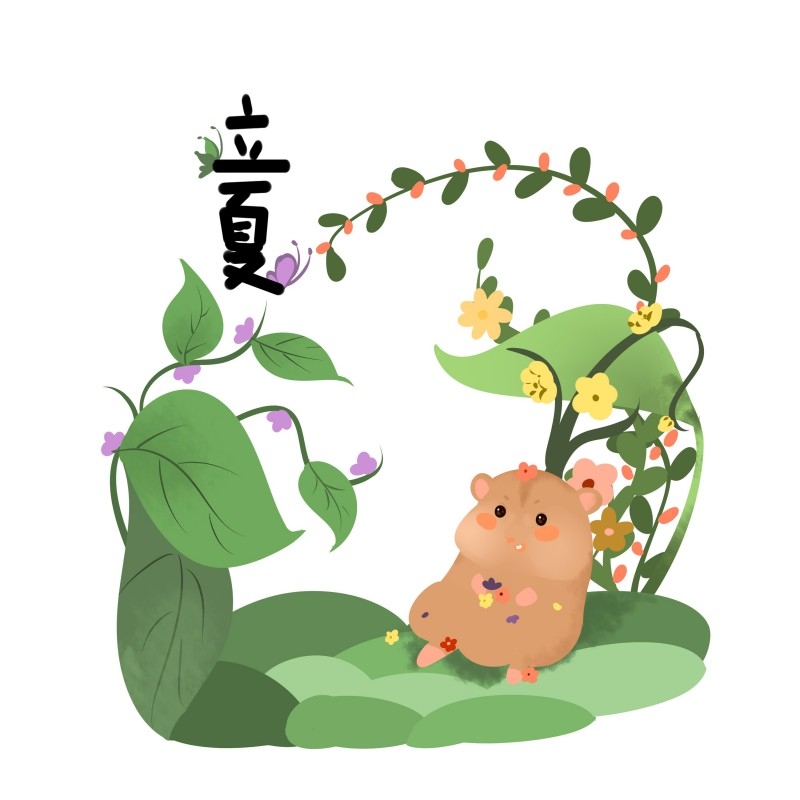 二十四节气立夏精品元素 (79)