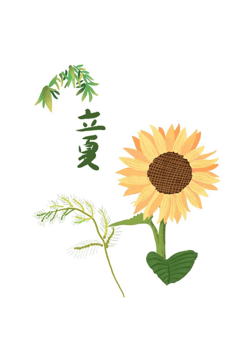 二十四节气立夏精品元素 (76)