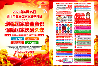 2025国家安全教育日海报套图挂画 (2)