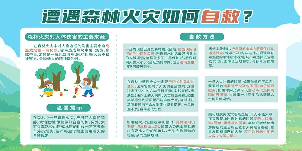 森林防火如何自救安全知识宣传栏展板