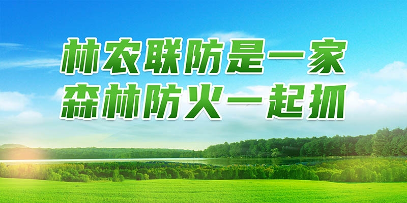 森林防火安全标语宣传栏展板 (2)