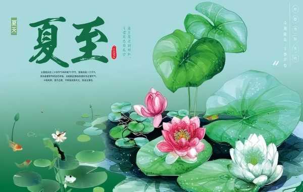 夏至展板