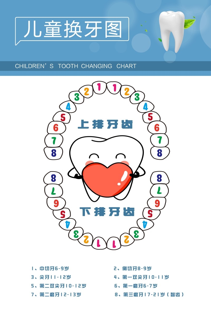 牙科装饰画儿童换牙图