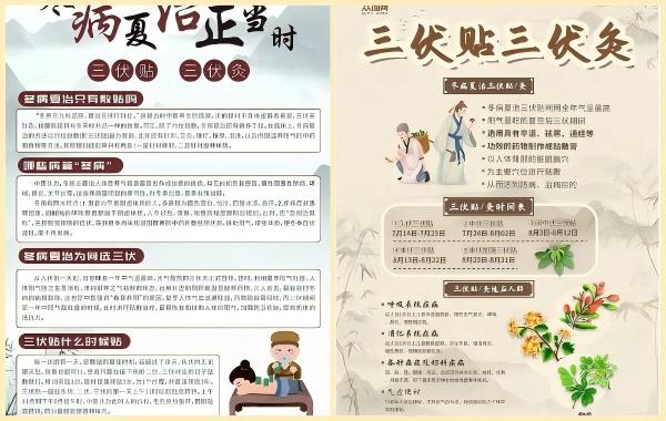 冬病夏治插画