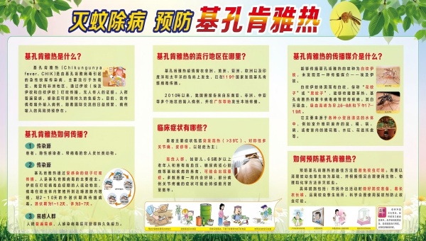 基孔肯雅热展板