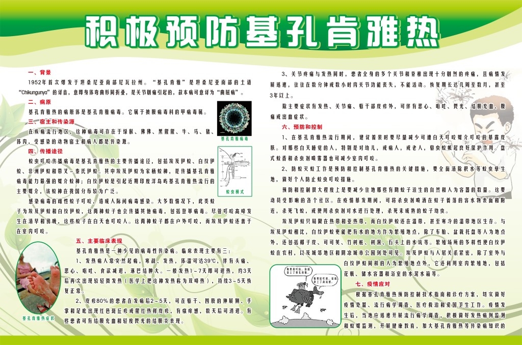 积极预防基孔肯雅热介绍展板宣传栏