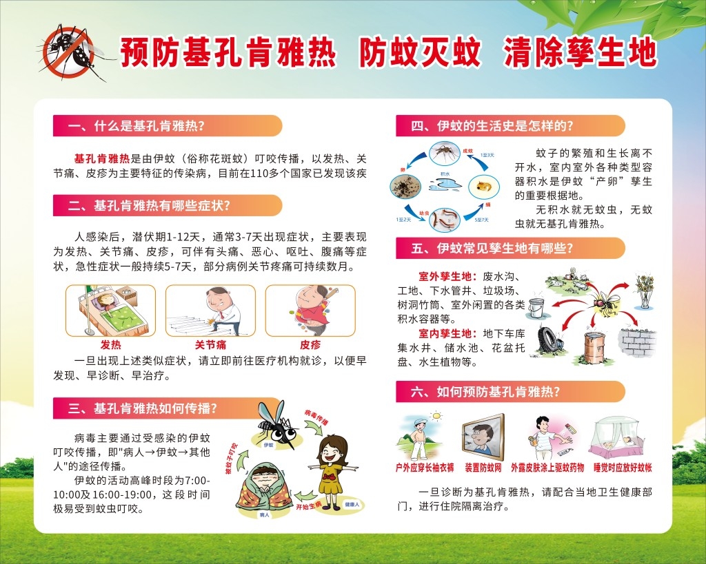 防蚊灭蝇基孔肯雅热介绍展板宣传栏