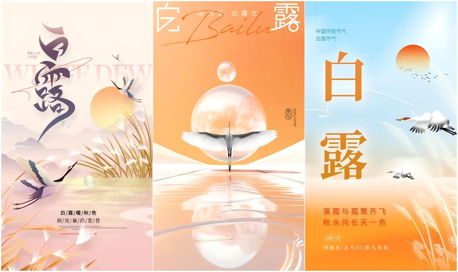 白露海报