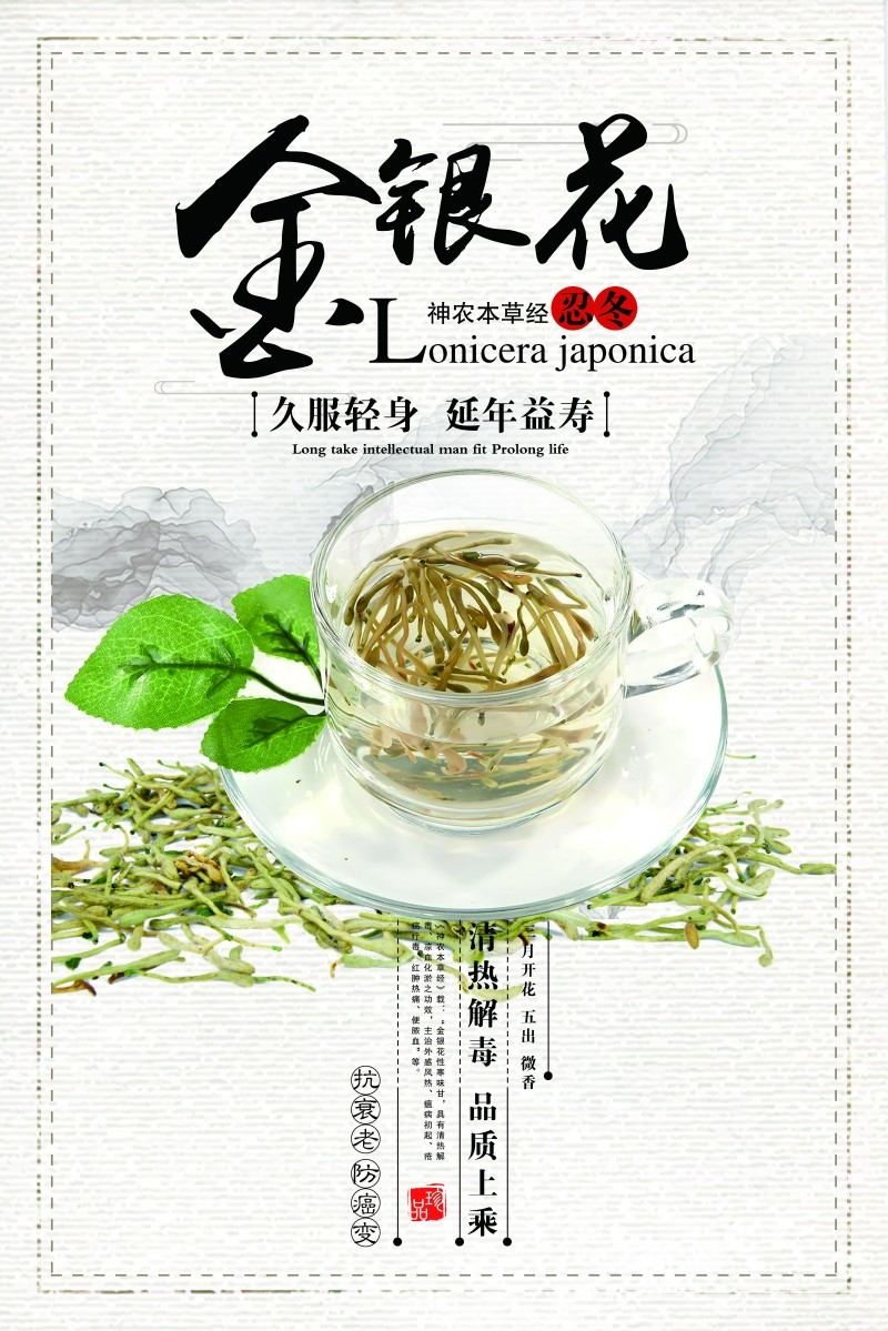 金银花茶展板海报