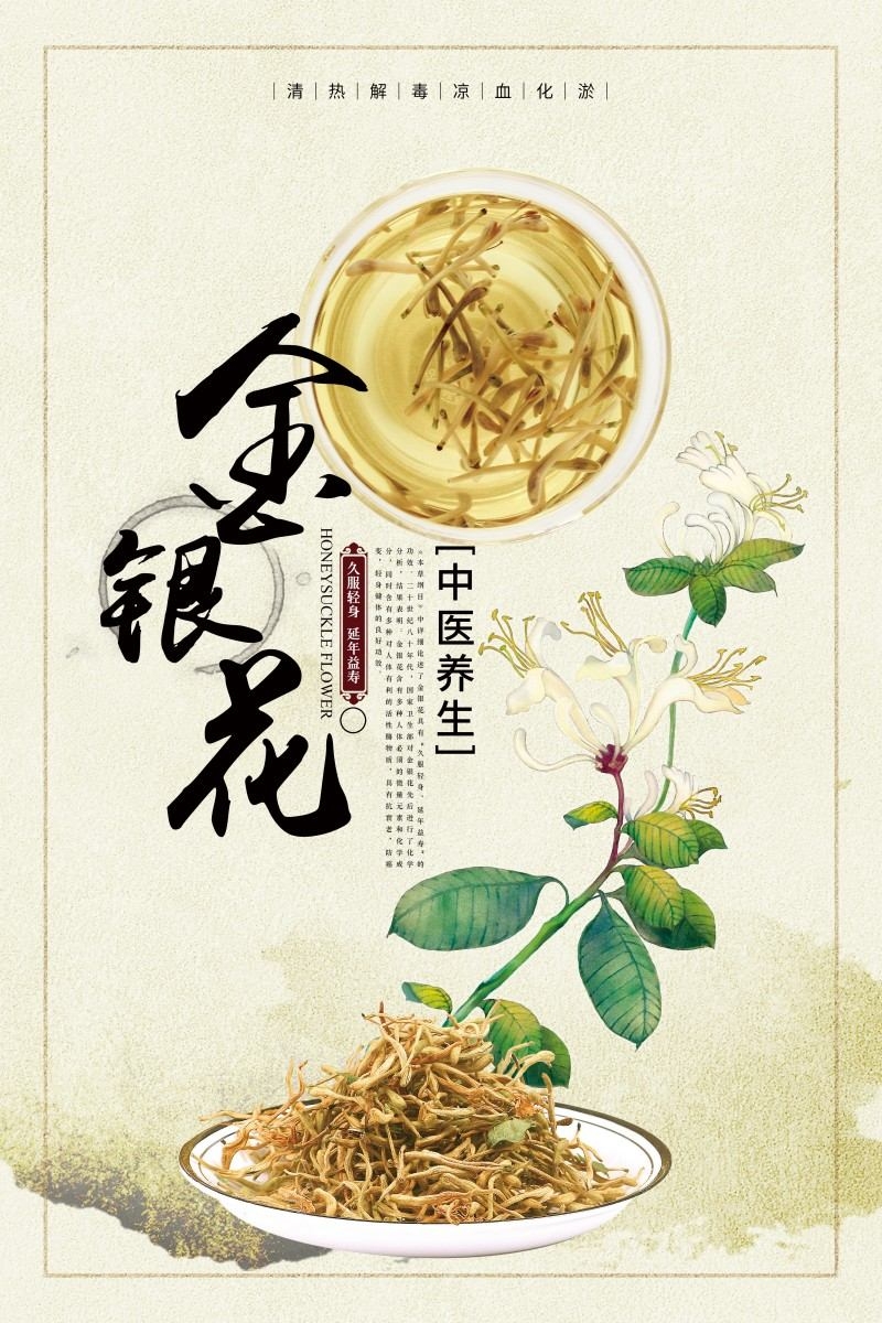 金银花茶展板海报