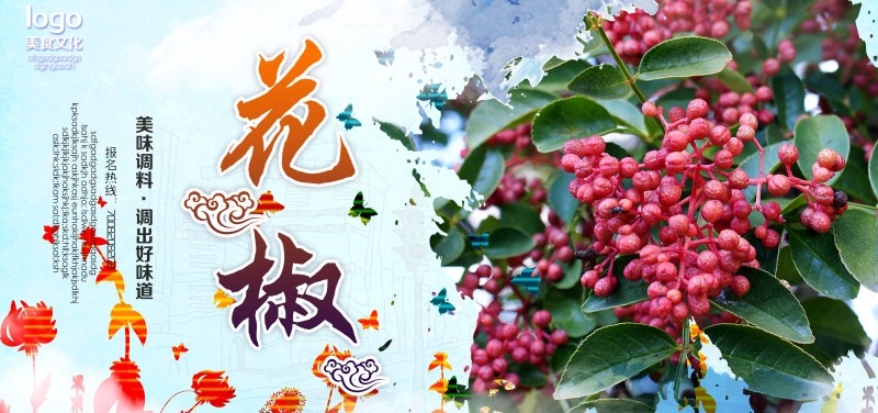 美食文化花椒宣传海报展板