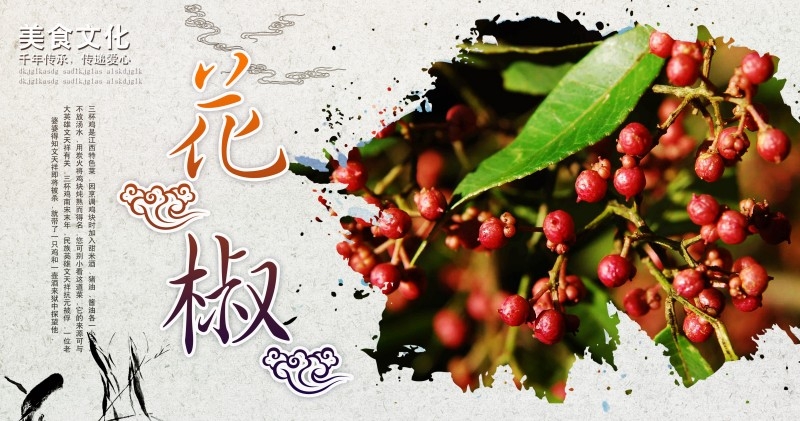美食文化花椒宣传海报展板