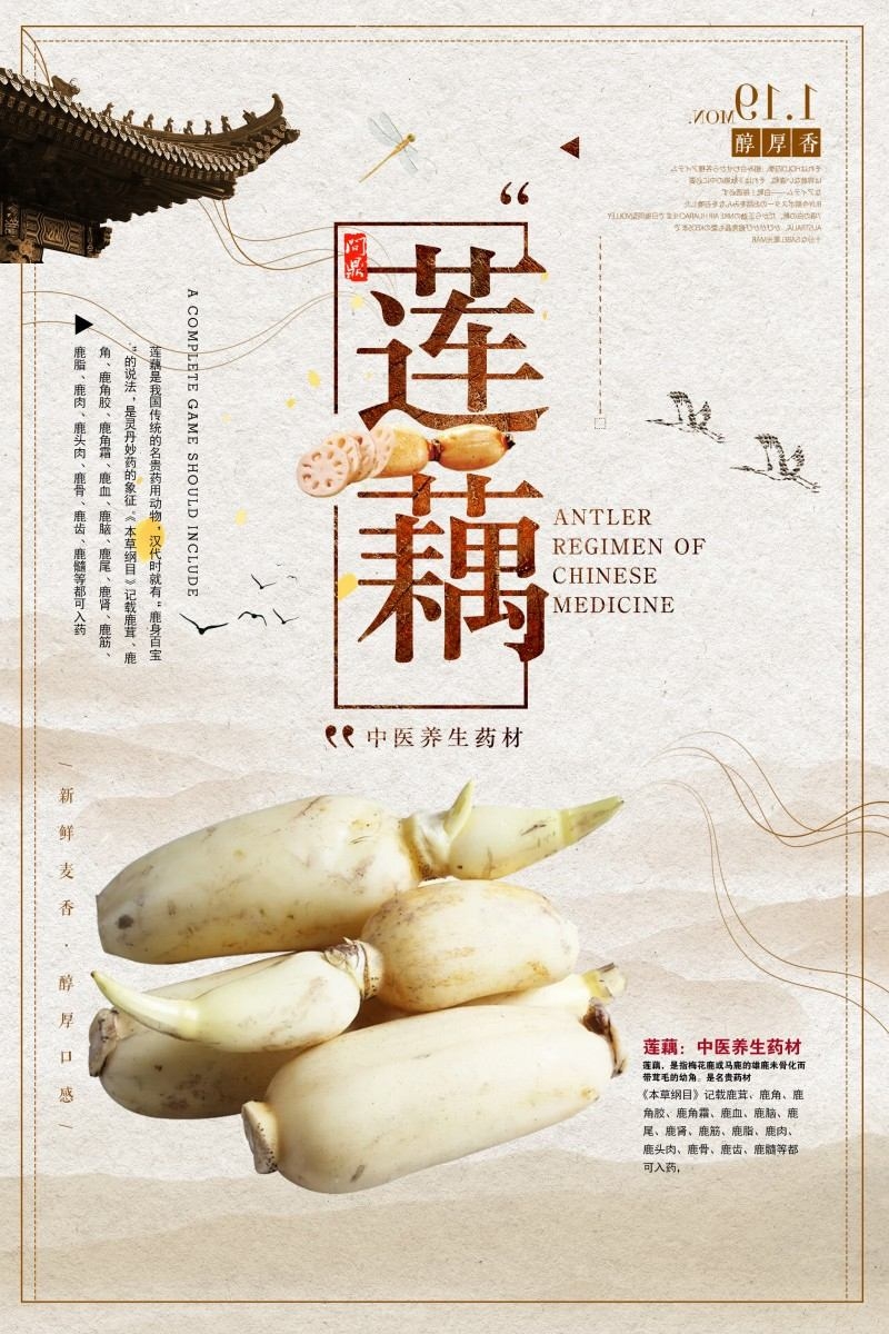 新鲜莲藕宣传海报
