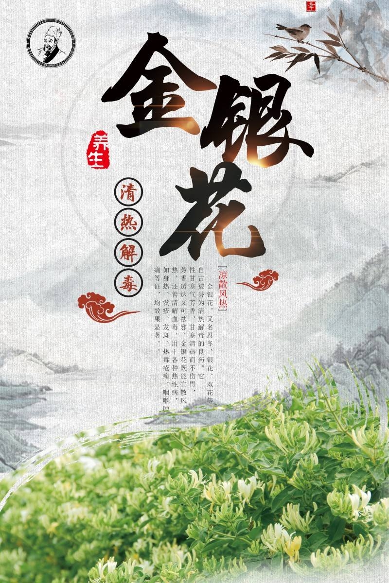 金银花茶展板海报