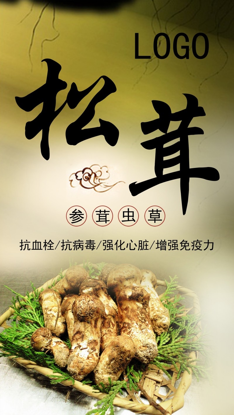 餐饮美食精品滋补松茸海报