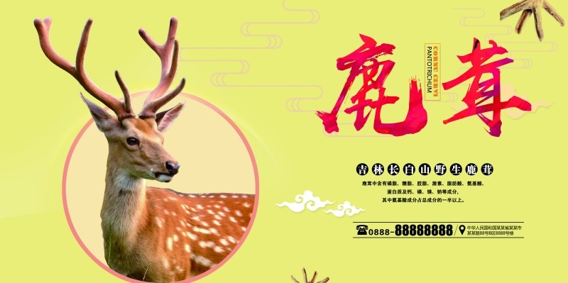 鹿茸宣传展板海报 (19)