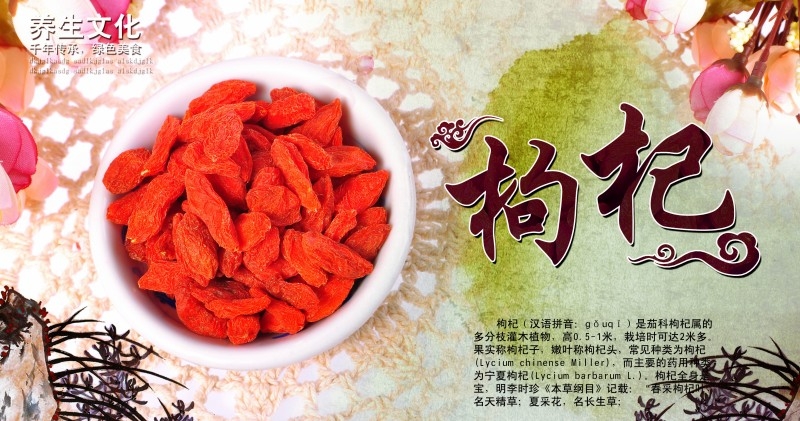 枸杞展板海报