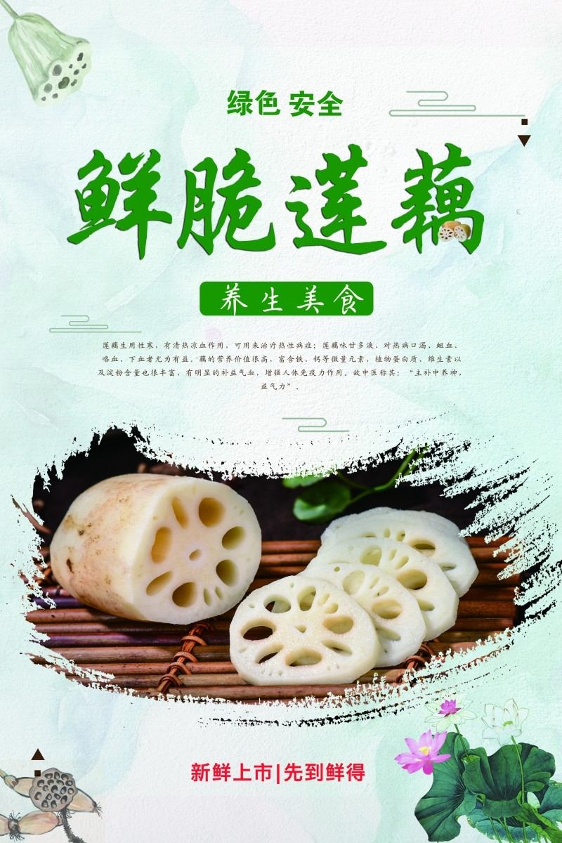 新鲜莲藕宣传海报