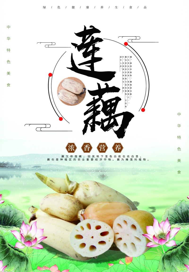 新鲜莲藕宣传海报 (16)