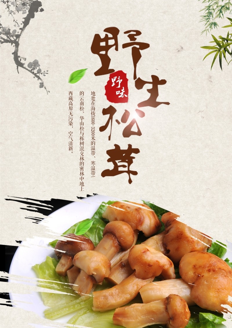 餐饮美食松茸海报