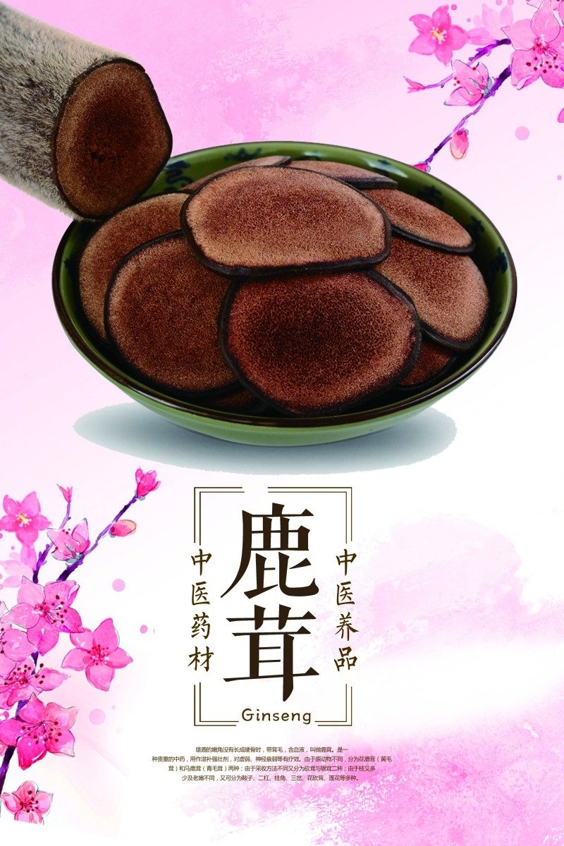 鹿茸宣传展板海报 (8)