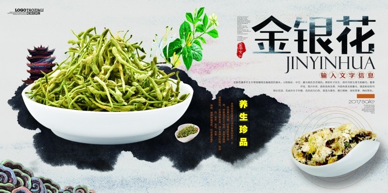 金银花茶展板海报 (6)
