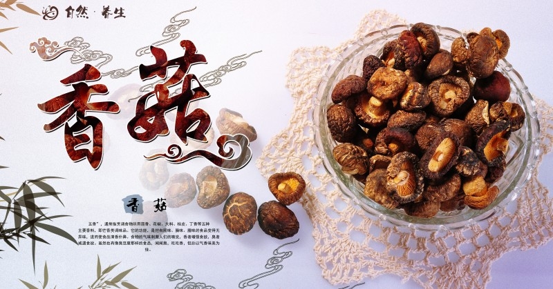 香菇宣传展板海报 (7)