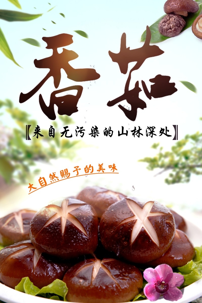 香菇宣传展板海报