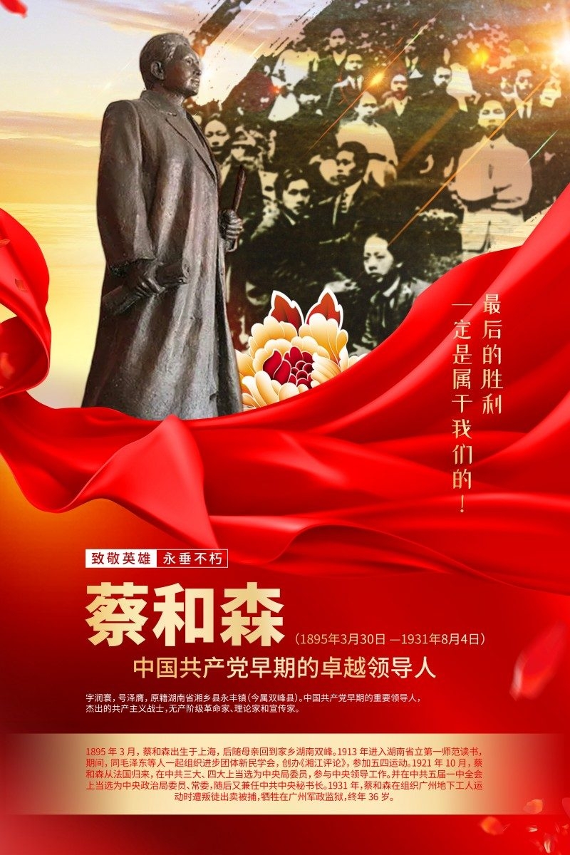 英雄人物事迹介绍海报蔡和森