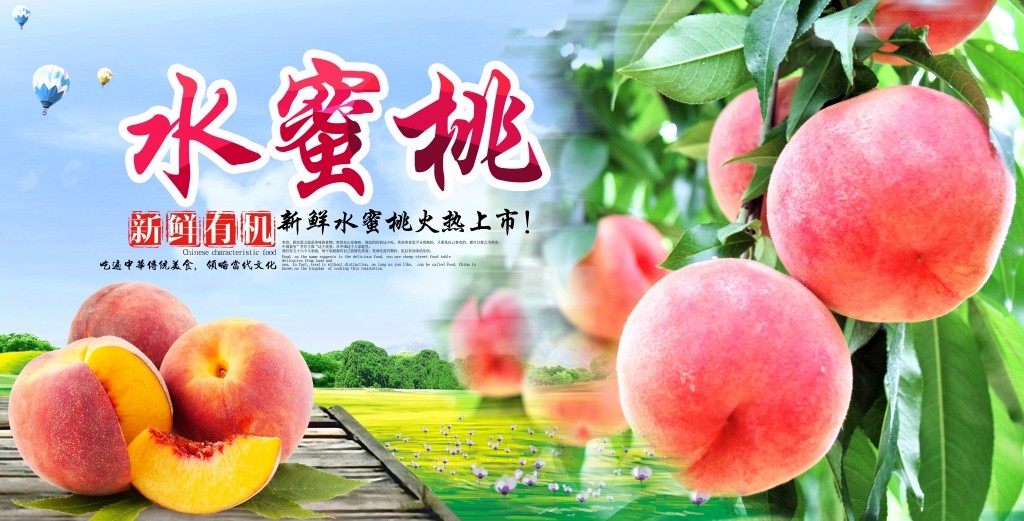 水蜜桃展板海报