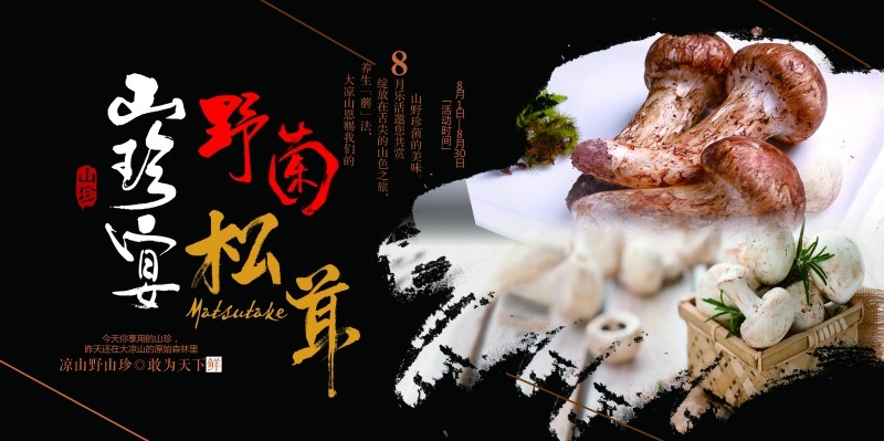 餐饮美食野菊松茸海报