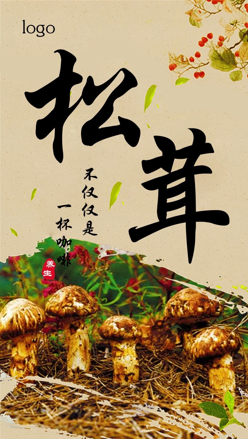 餐饮美食松茸海报 (1)