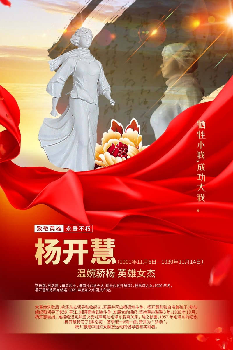 英雄人物事迹介绍海报杨开慧